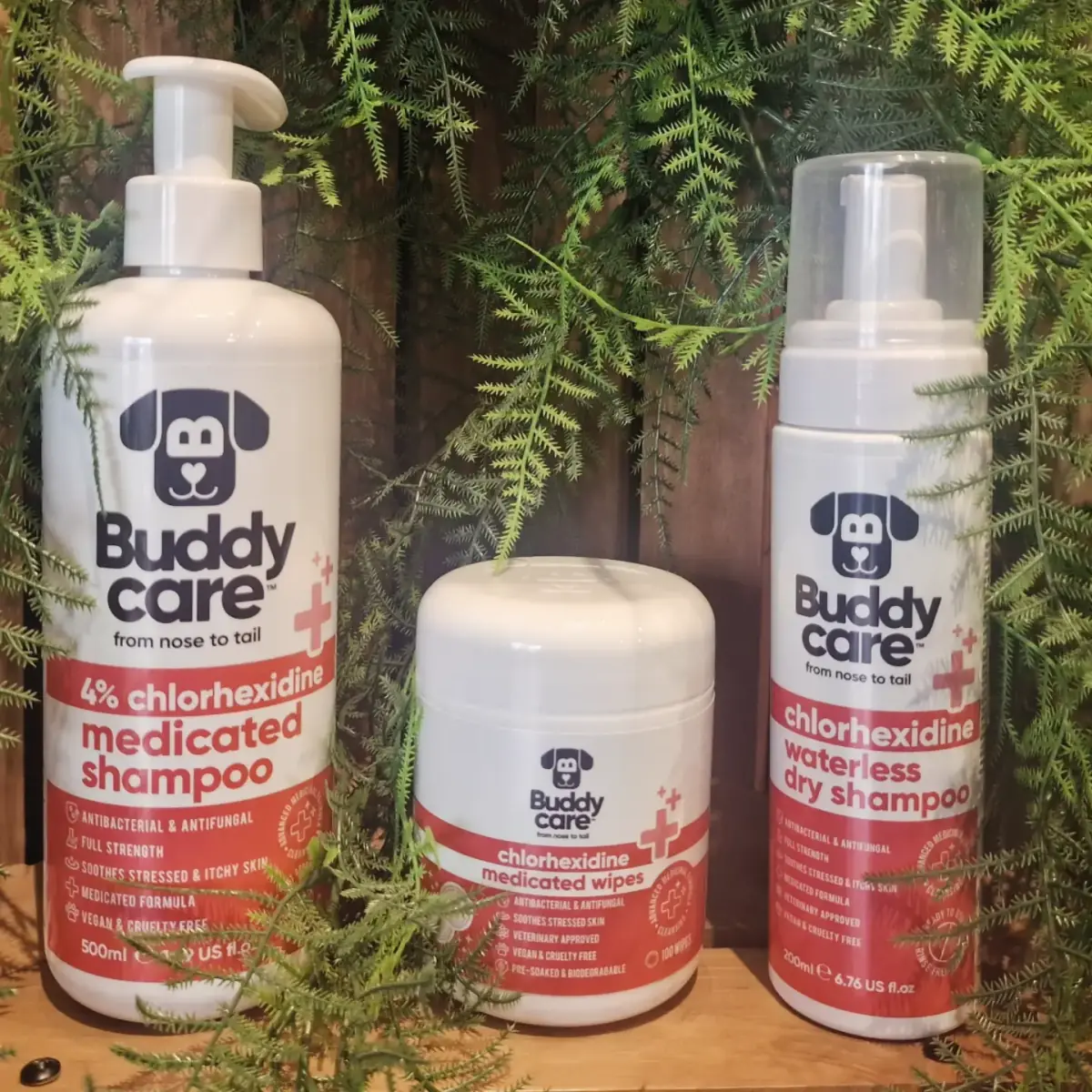 Buddy Care medicinski šamponi i pena među paprati na polici apoteke