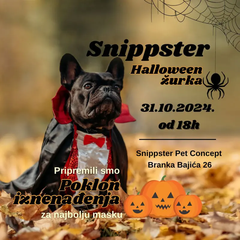 Plakat za Noć veštica u Snippsteru: francuski buldog u ogrtaču, 31. 10. 2024. od 18 h
