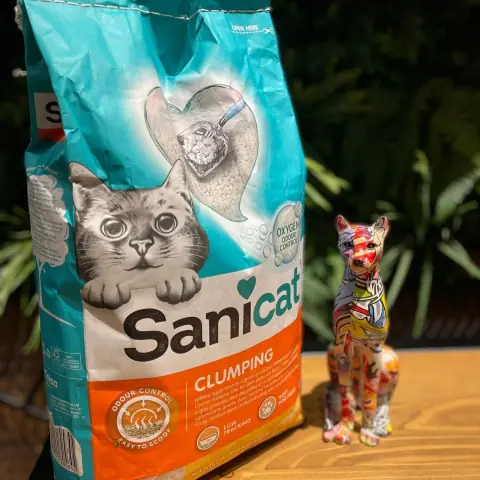Kesa Sanicat posipa pored šarene figure mačke