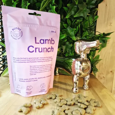 Kesa Lamb Crunch poslastica pored zlatne figure psa